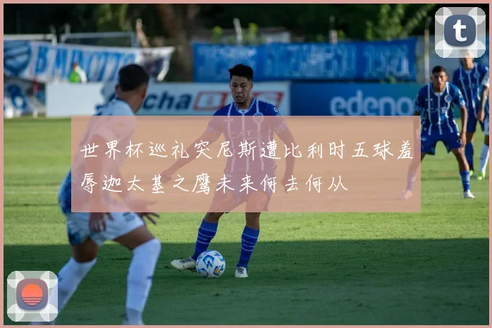 世界杯巡礼突尼斯遭比利时五球羞辱迦太基之鹰未来何去何从