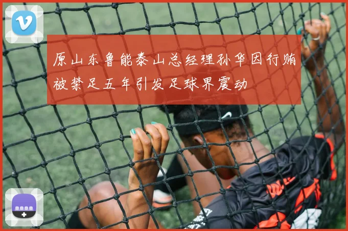 原山东鲁能泰山总经理孙华因行贿被禁足五年引发足球界震动